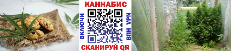 Cannafood конопля  где найти   Черемхово 