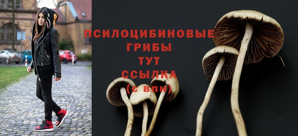 амф Вязьма