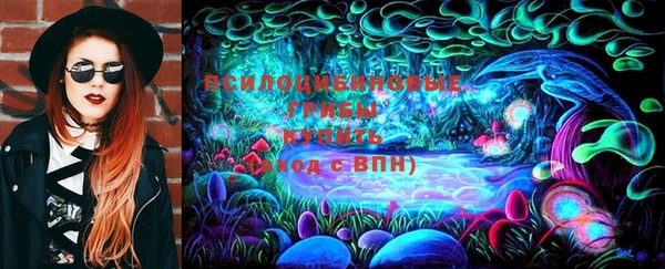 амф Вязьма