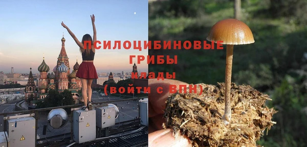 не бодяженный Вяземский