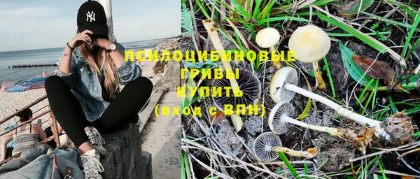 не бодяженный Вяземский